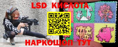крисы Гагарин