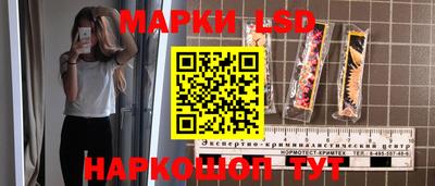 крисы Гагарин