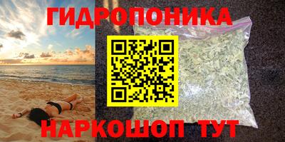 крисы Гагарин