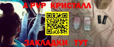крисы Гагарин
