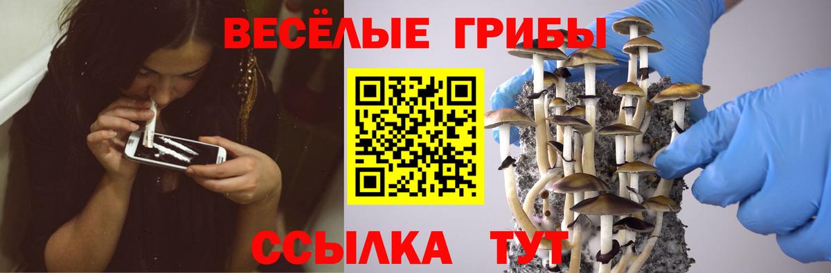 Галлюциногенные грибы ЛСД  Вход с VPN  как найти закладки  Шелехов 